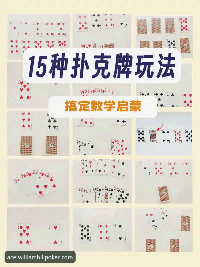 威廉希尔扑克玩法介绍使用技巧新手教程：从入门到精通