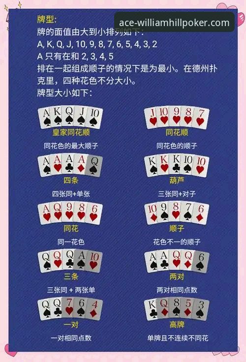 威廉希尔扑克专业平台攻略 威廉希尔扑克专业平台攻略:新手入门与实战体验全面评测